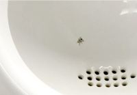 _141114 Pissoar_Amsterdam